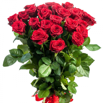 Букет из 25 метровых красных роз